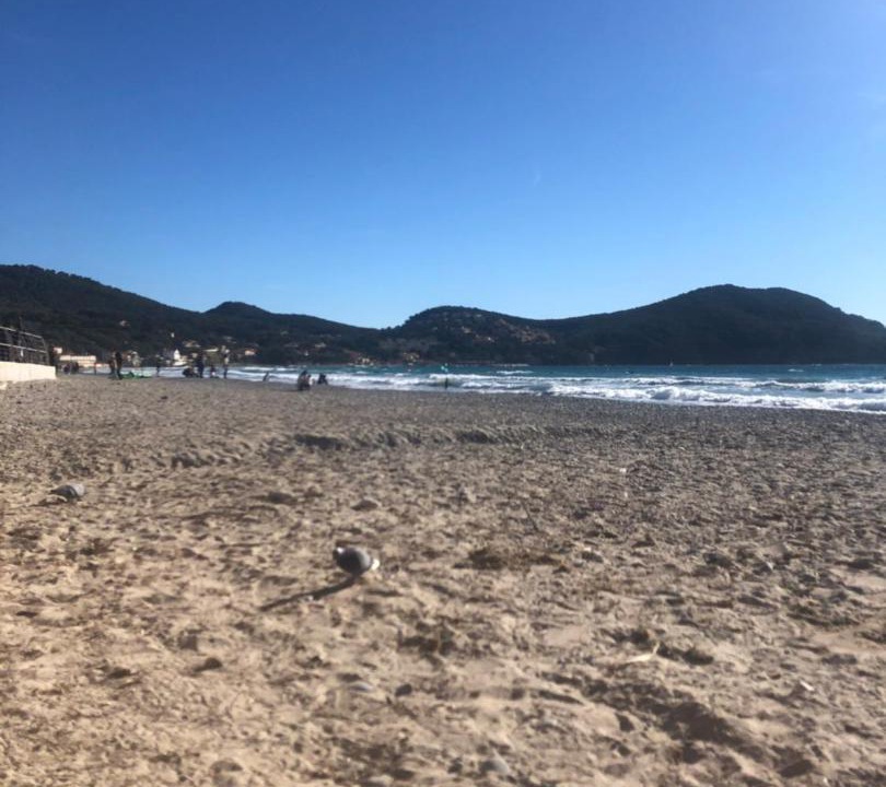 Photo of Others in Saint-Cyr-sur-Mer