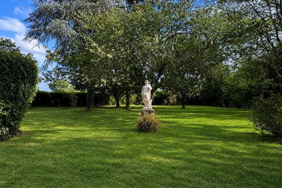 Photo of Others in Saint-Emilion