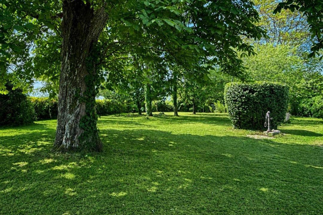 Photo of Others in Saint-Emilion