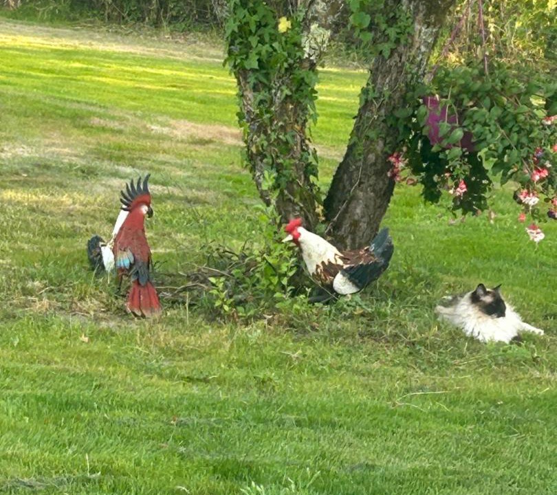 Photo of Others in Saint-Vivien-de-Blaye