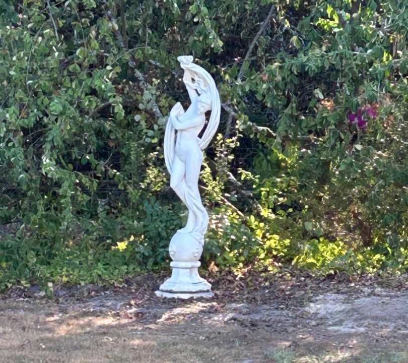 Photo of Others in Saint-Vivien-de-Blaye