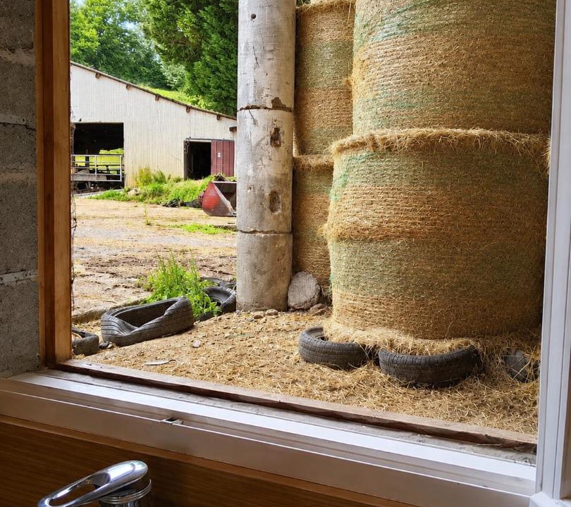 Photo of Others in Lys