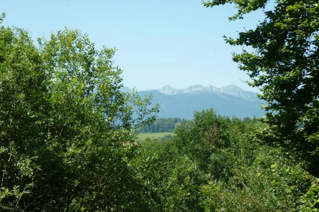 Photo of Others in Haut-de-Bosdarros