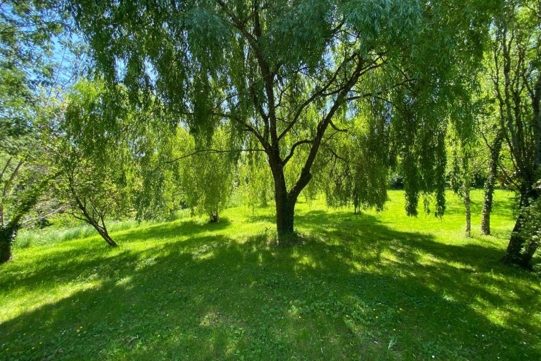 Photo of Outdoor in Cazaubon