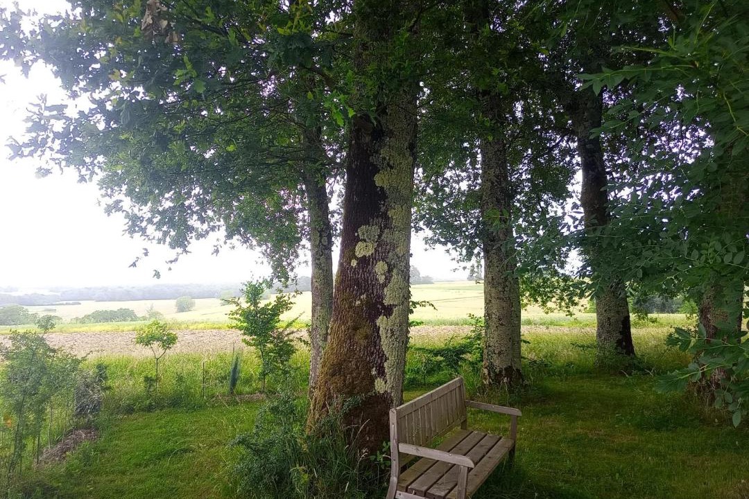 Photo of Others in Salignac-de-Mirambeau
