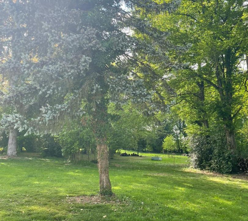 Photo of Outdoor in La Batie-Montgascon