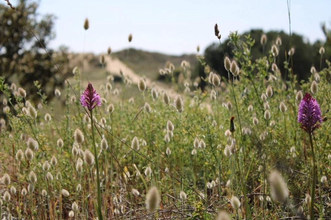 Photo of Outdoor in Barbatre