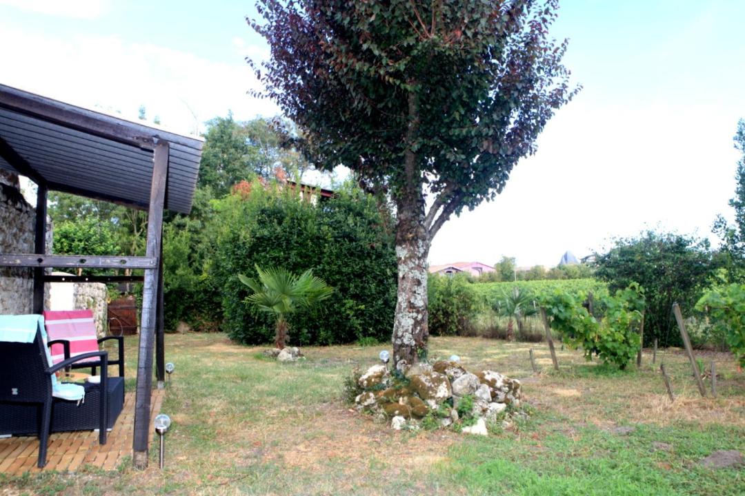 Photo of Others in Saint-Seurin-de-Cadourne