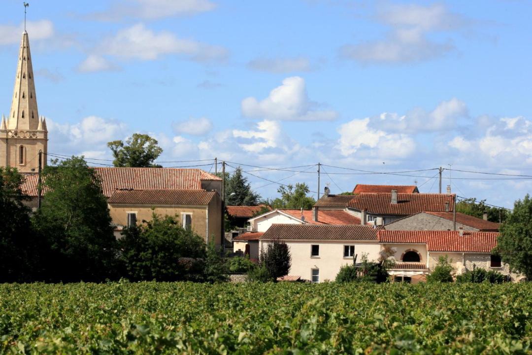 Photo of Others in Saint-Seurin-de-Cadourne