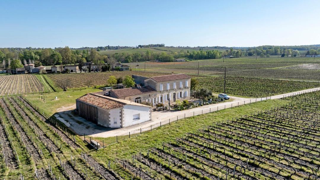Photo of Others in Saint-Emilion