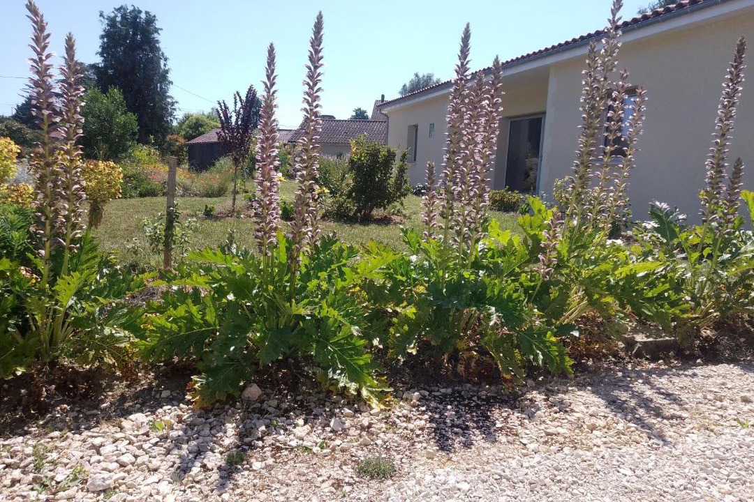 Photo of Others in Baignes-Sainte-Radegonde