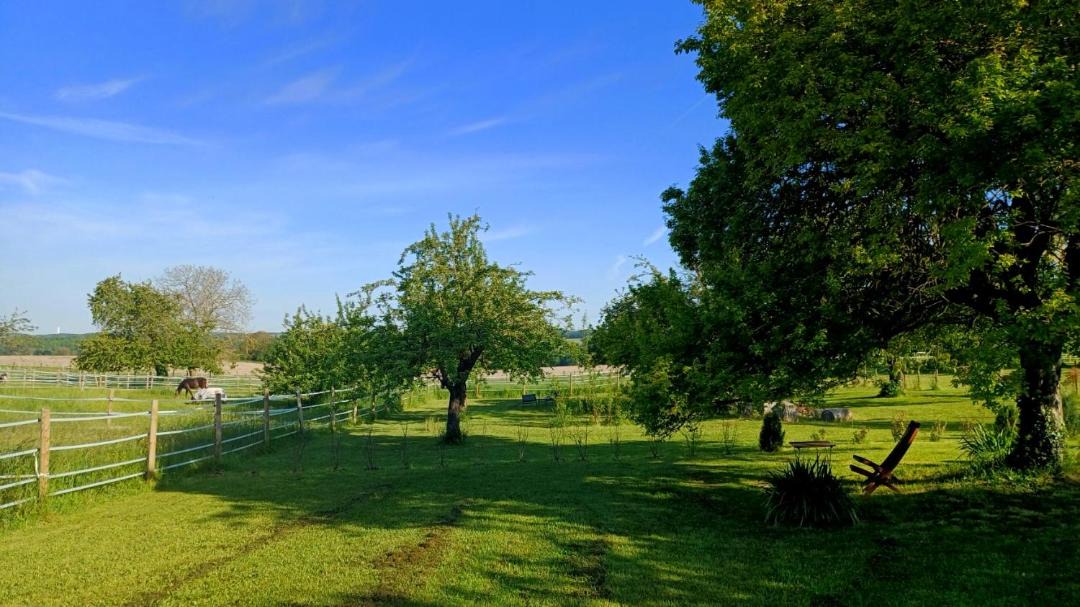 Photo of Others in Saint-Medard