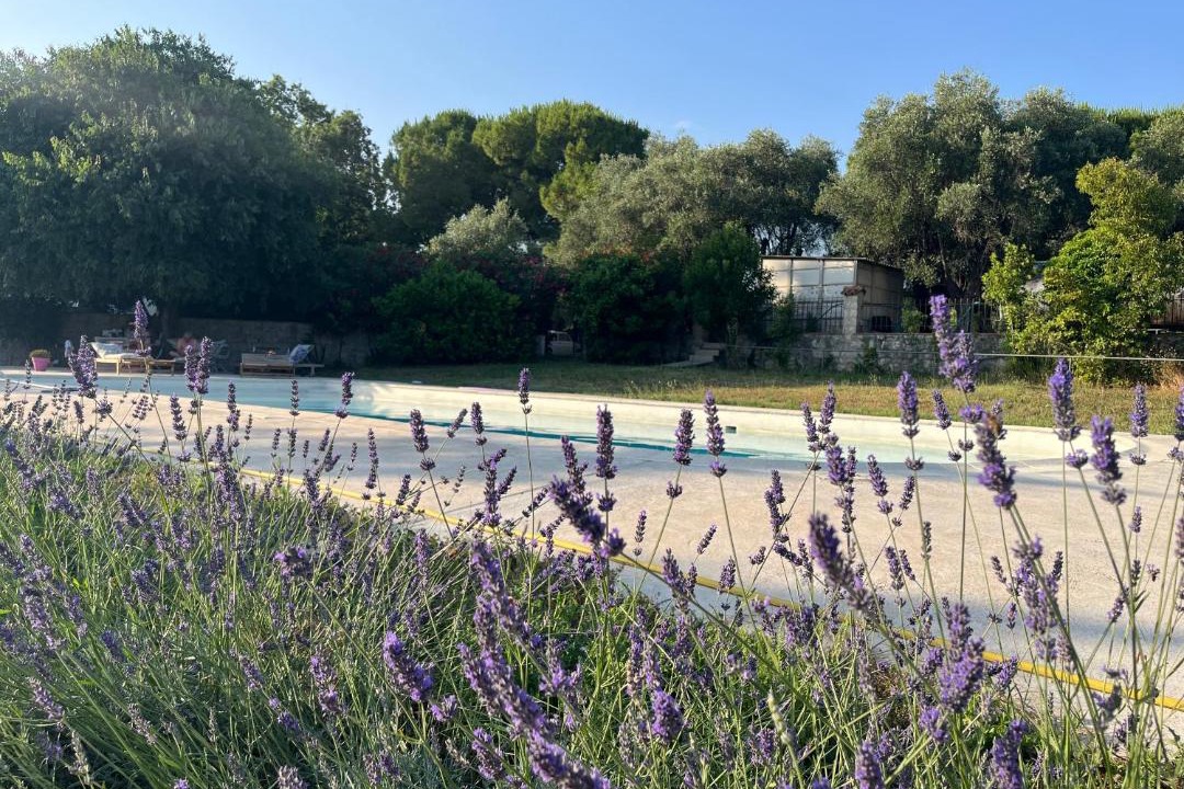 Photo of Others in Le Plan-de-Grasse