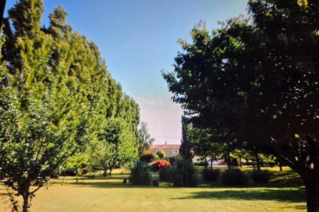 Photo of Others in Saint Germain du Seudre