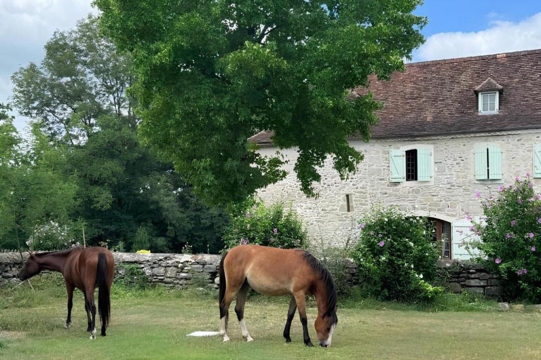 Photo of Others in Saint-Gladie-Arrive-Munein