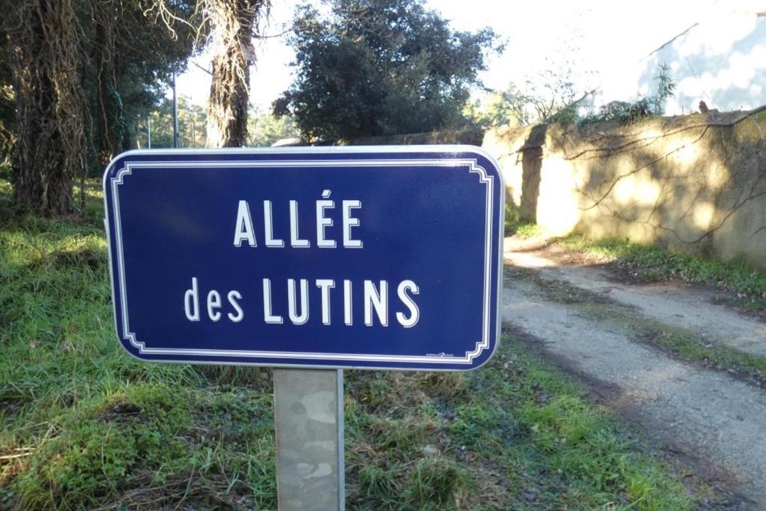 Photo of Others in Fromentine