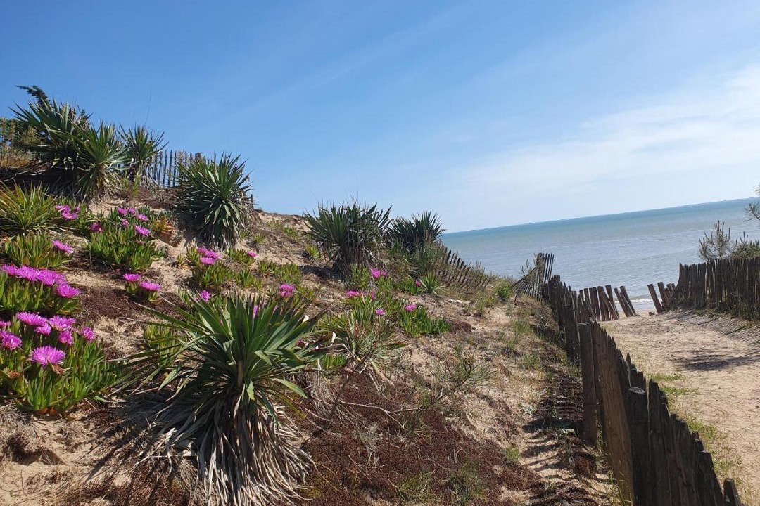 Photo of Others in La Tranche-sur-Mer