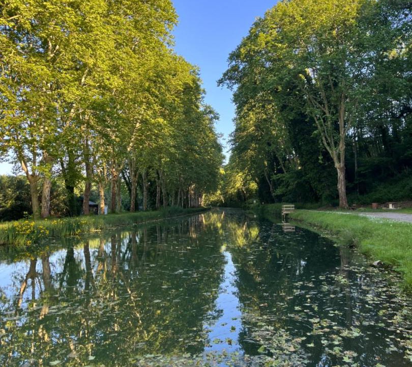Photo of Others in Meilhan-sur-Garonne