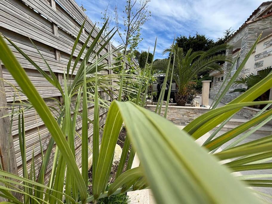 Photo of Others in Villeneuve-Loubet
