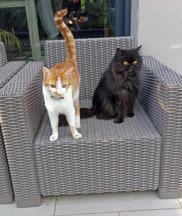 Photo of Others in Merignac