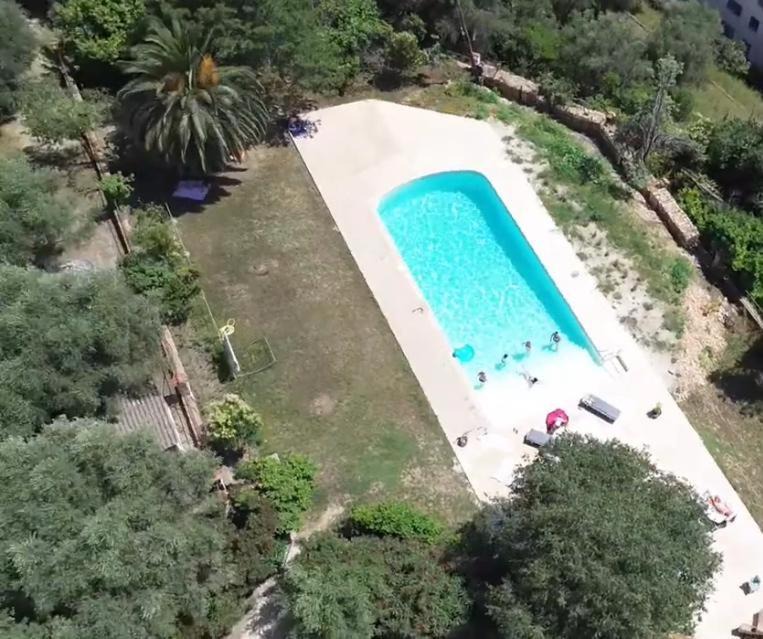Photo of Others in Le Plan-de-Grasse