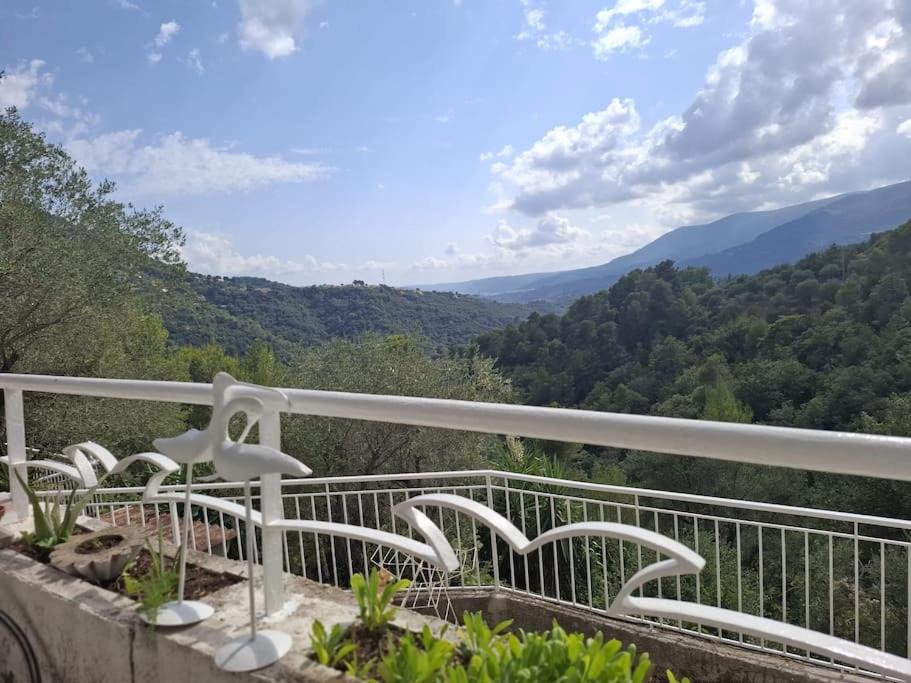 Photo of Patio Balcony in Levens