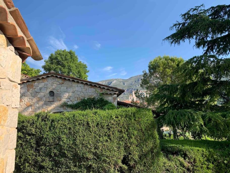 Photo of Others in Cipieres