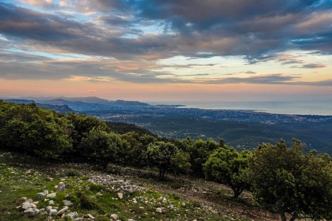Photo of Others in Tourrettes-sur-Loup