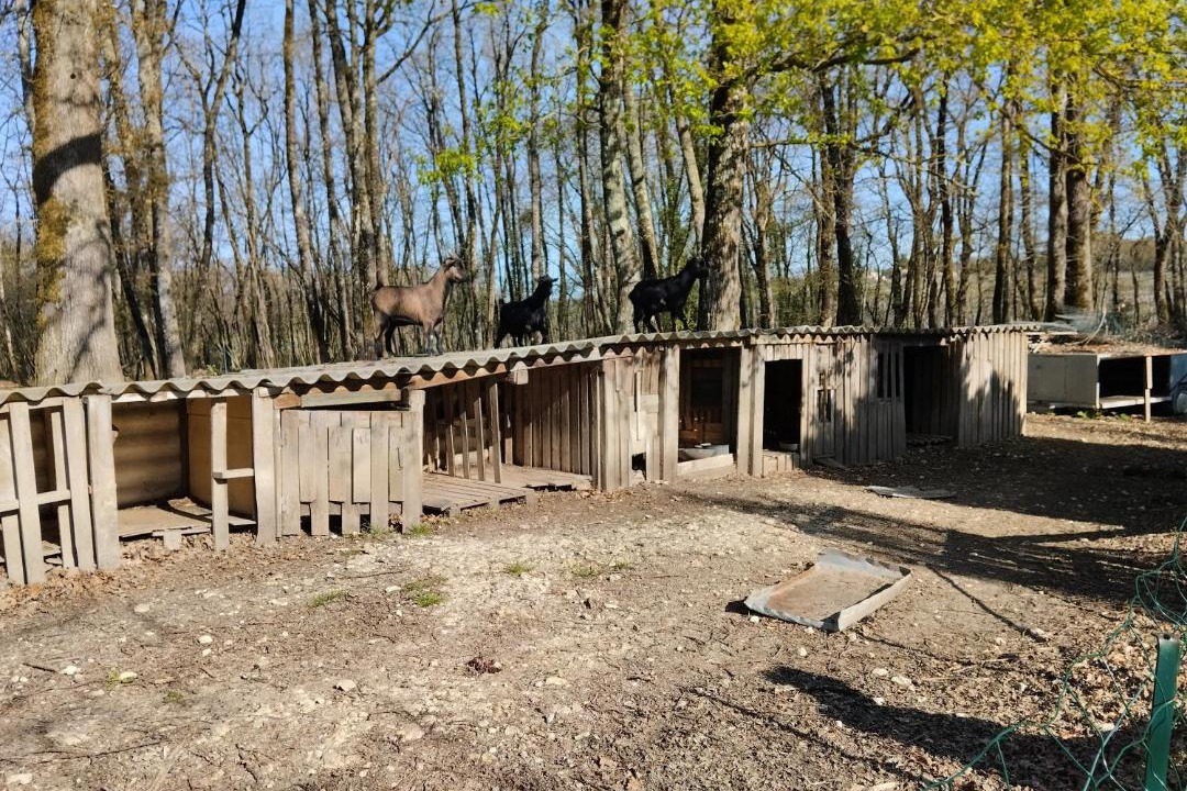 Photo of Others in Chadenac