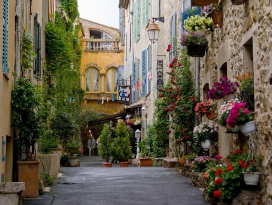 Photo of Others in Valbonne