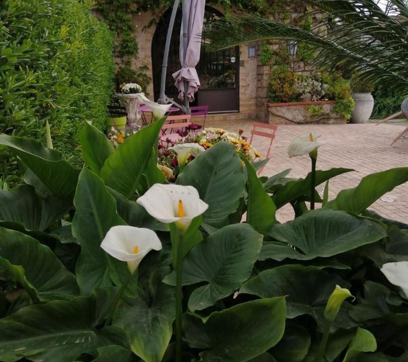 Photo of Patio Balcony in Le Plan-de-Grasse