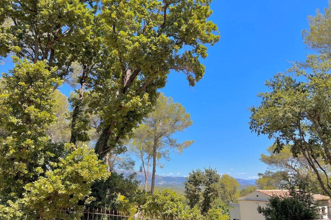 Photo of Others in Valbonne
