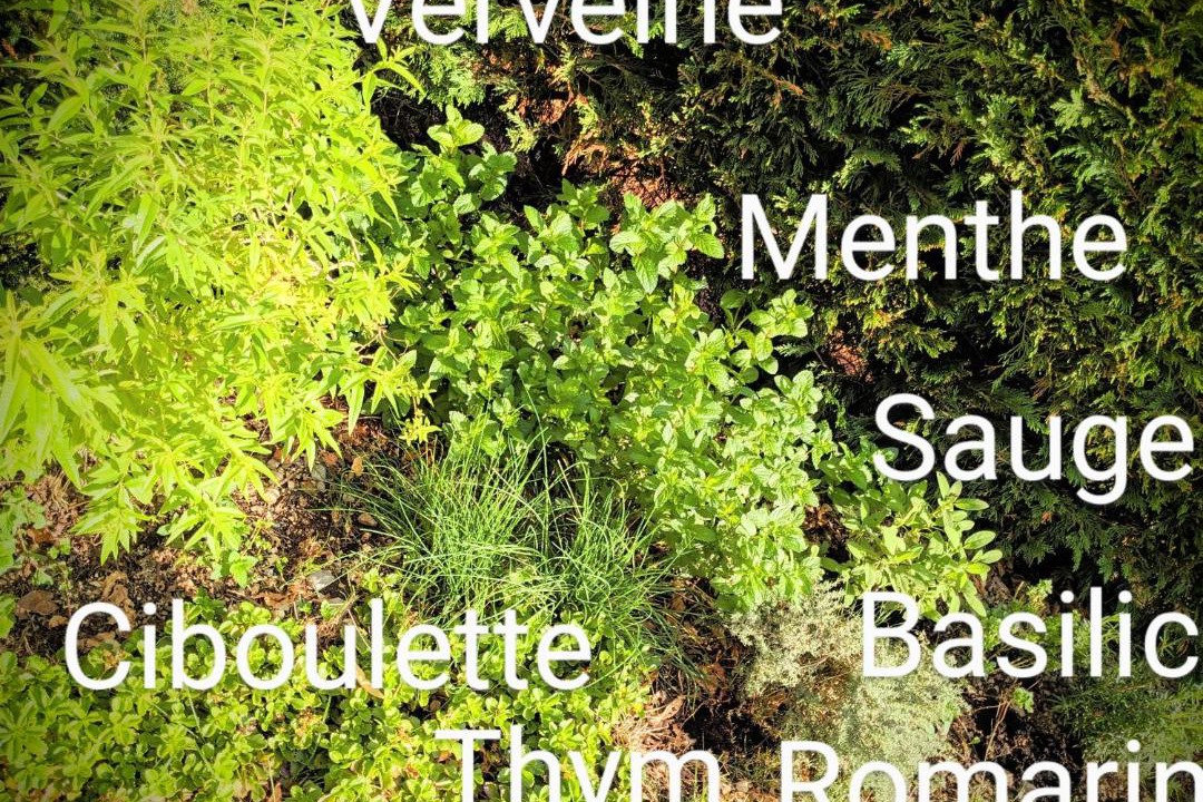 Photo of Others in Montmelian