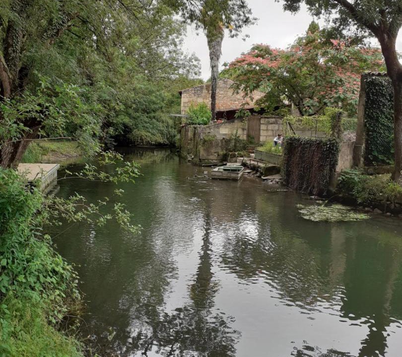 Photo of Others in Pons