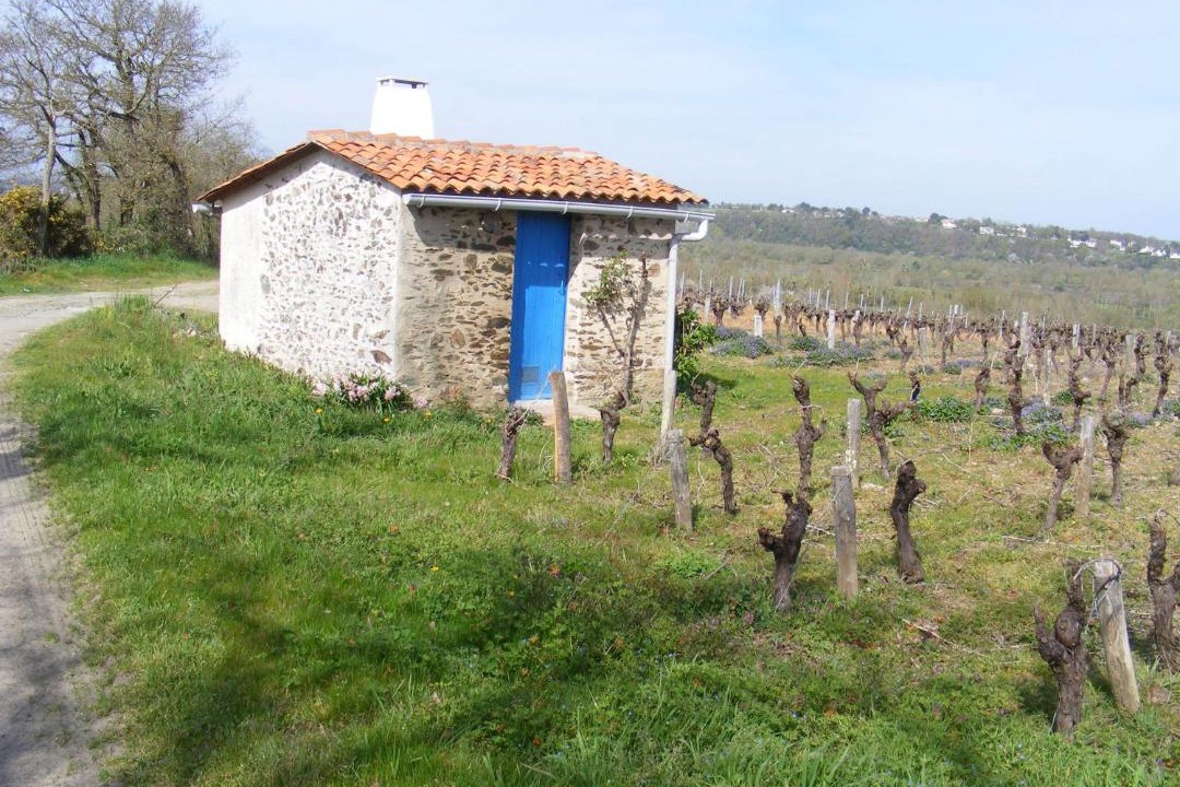 Photo of Others in Oree d'Anjou