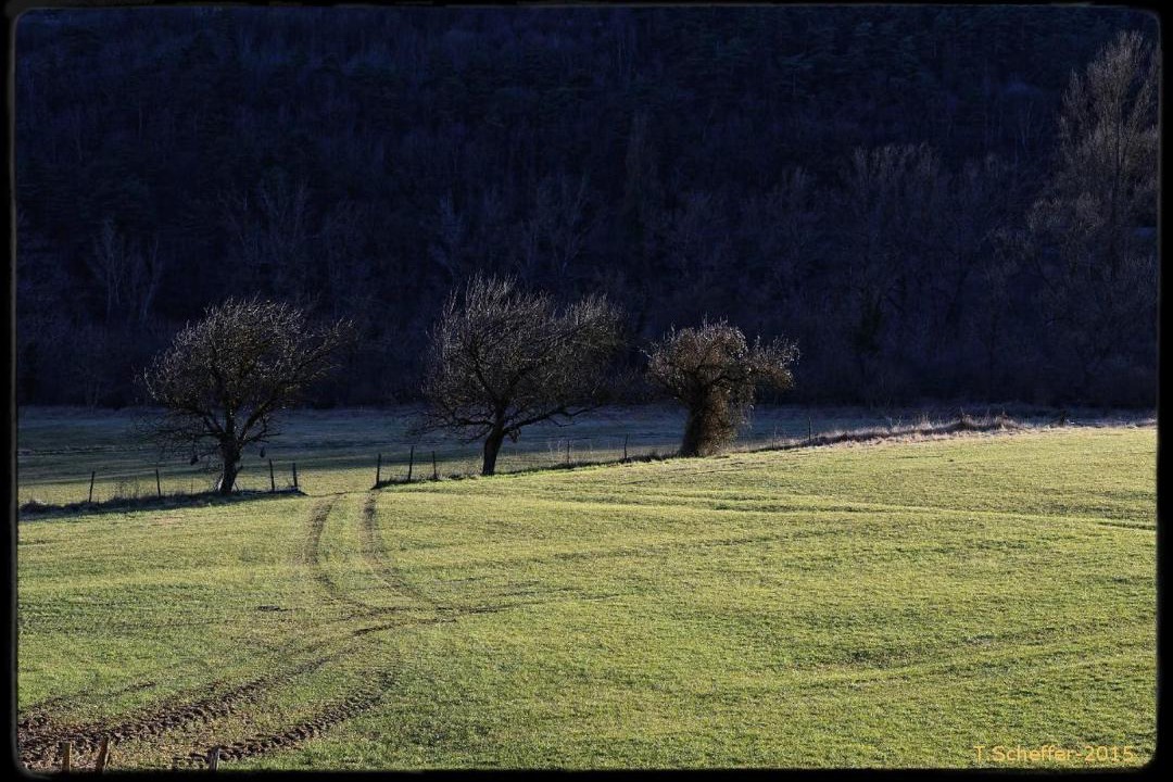 Photo of Others in Sospel