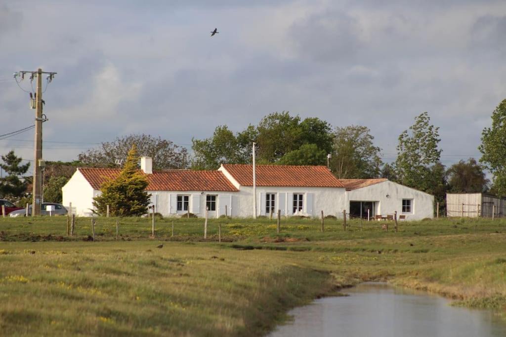 Photo of Buildings in Bouin