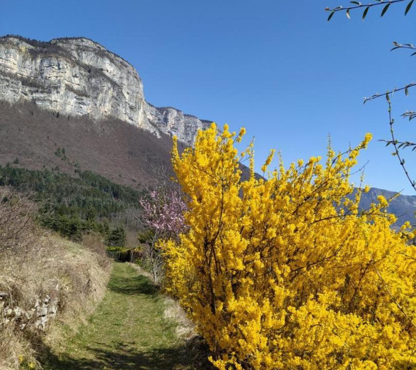 Photo of Others in Saint-Alban-Leysse