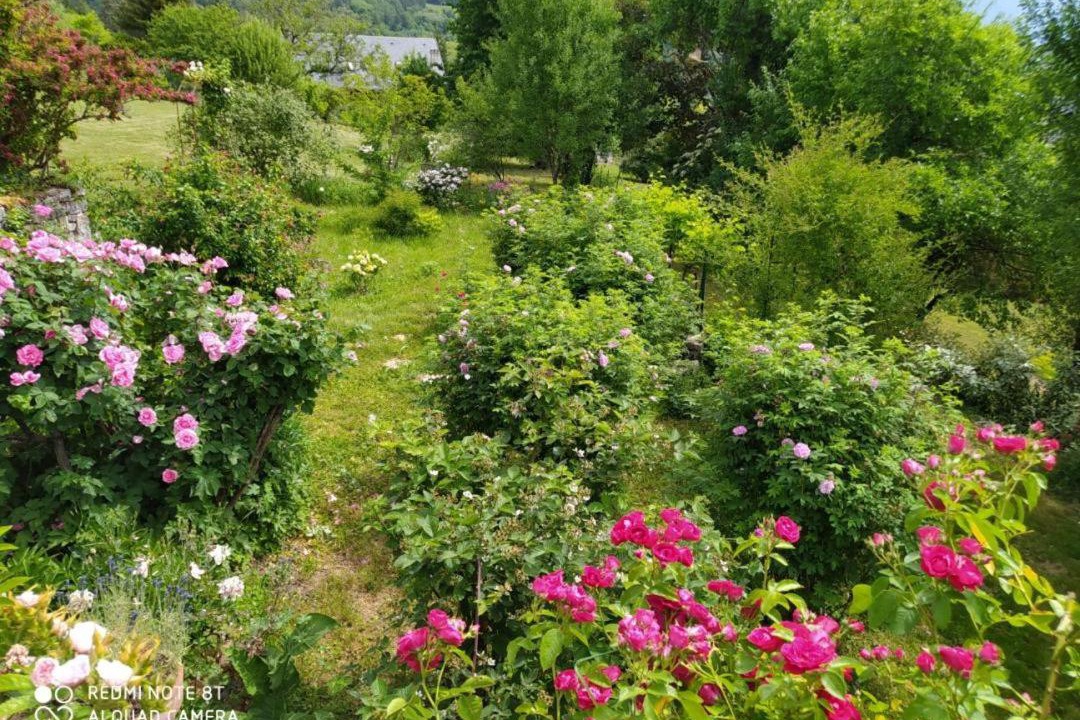 Photo of Outdoor in Saint-Alban-Leysse
