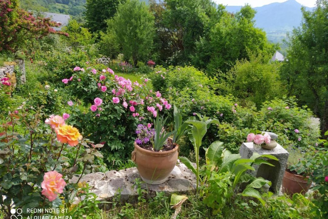 Photo of Others in Saint-Alban-Leysse