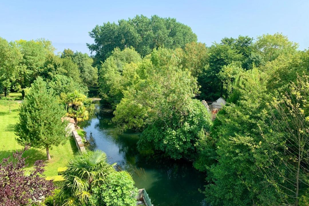 Photo of Others in Pons