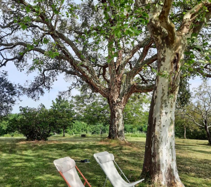 Photo of Outdoor in Pomport