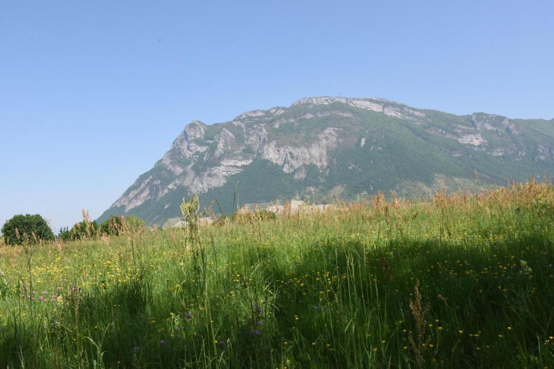 Photo of Others in Sainte-Helene-du-Lac