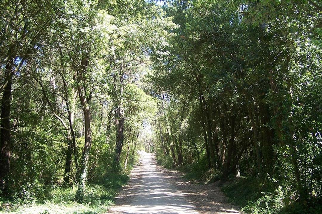 Photo of Others in Fromentine