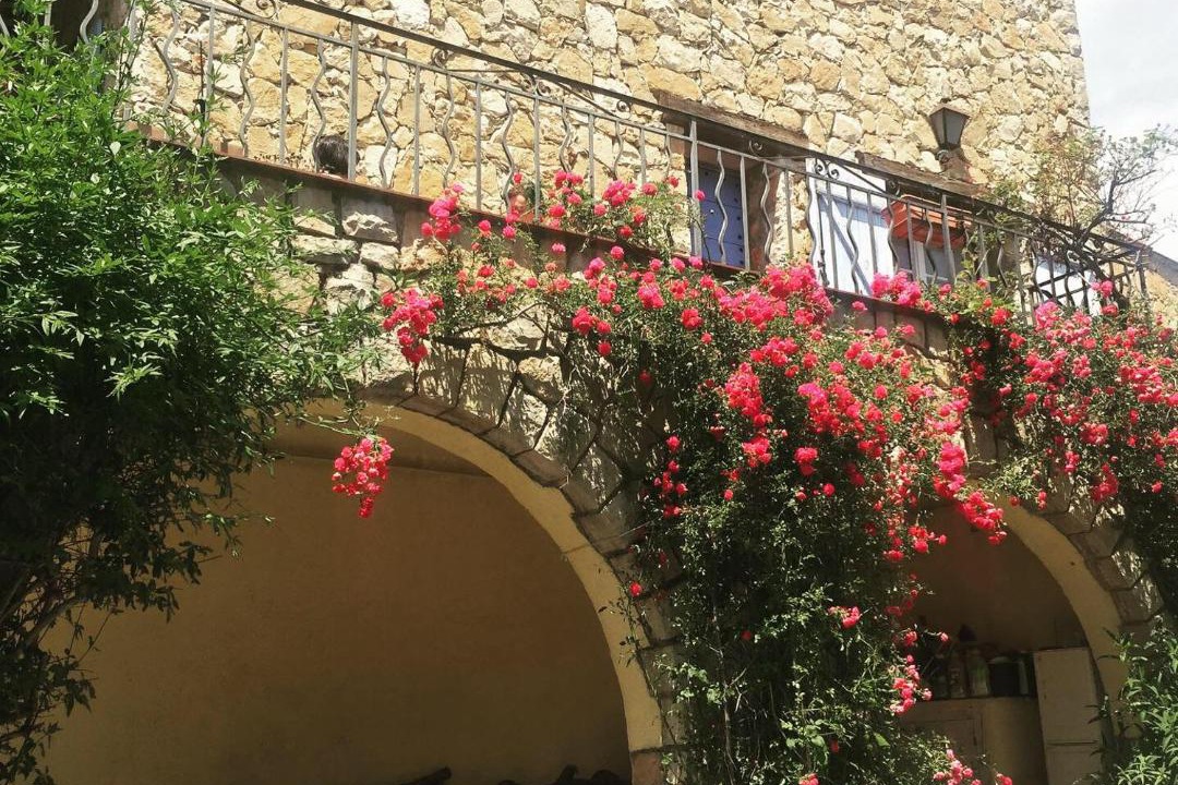 Photo of Others in Magagnosc
