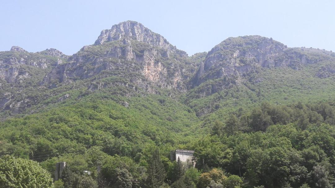 Photo of Others in Pont du Loup