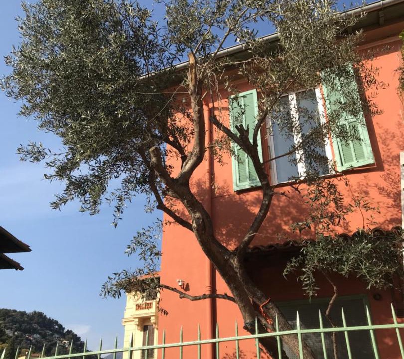 Photo of Others in Menton