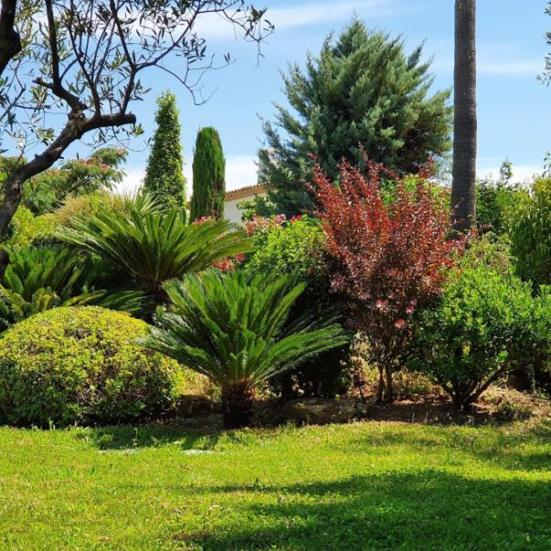 Photo of Others in Le Plan-de-Grasse