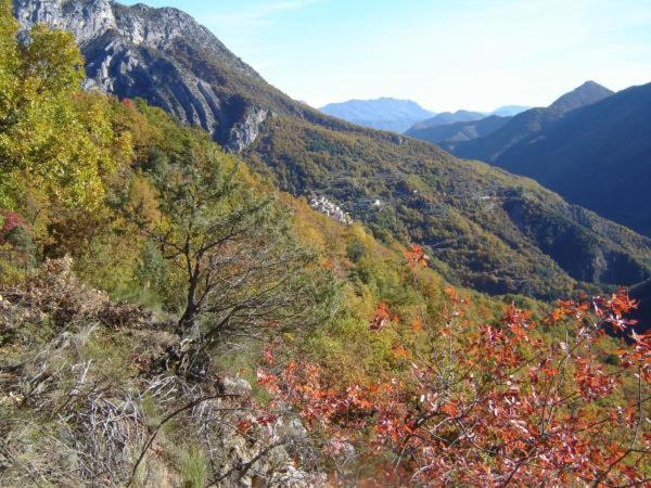 Photo of Outdoor in Le Mas