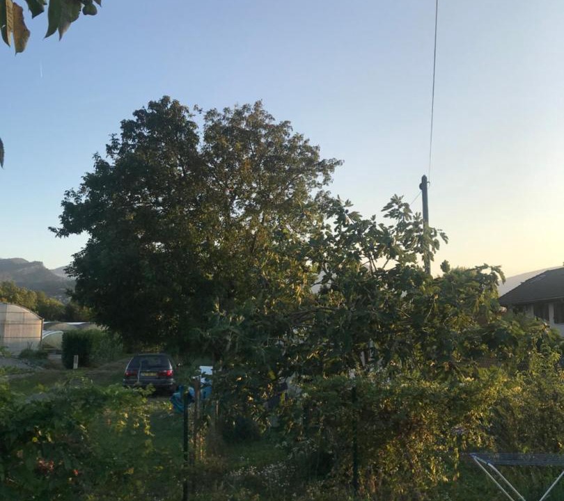 Photo of Others in Bassens